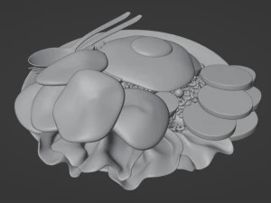 Fried Rice Nasi Goreng 001 3D Model