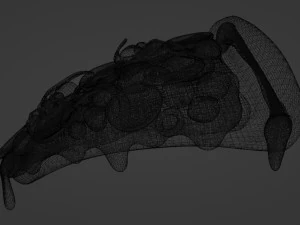 Pizza 001 3D Model