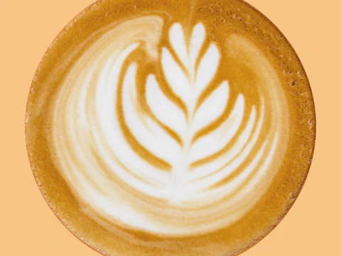 Cappuccino 001 3D Model