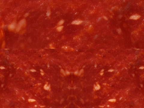 Pizza Pepperoni 001 3D Model