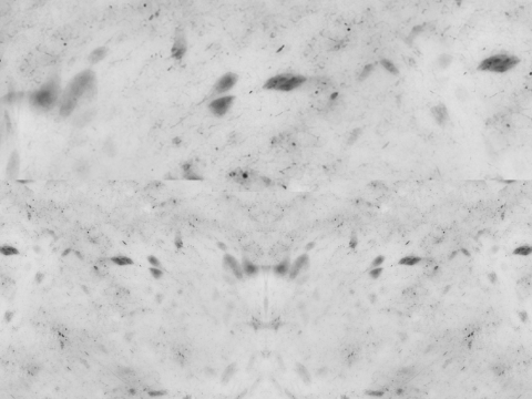 Pizza Pepperoni 001 3D Модель