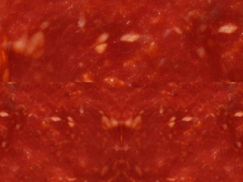 Pizza Pepperoni 001 3D Model