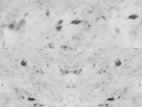 Pizza Pepperoni 001 3D Модель