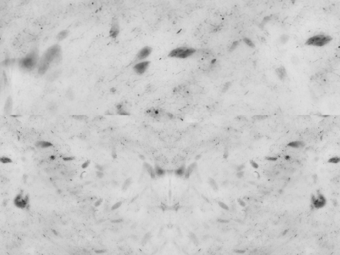 Pizza Pepperoni 001 3D Модель