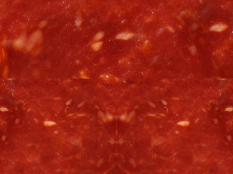 Pizza Pepperoni 001 3D Model