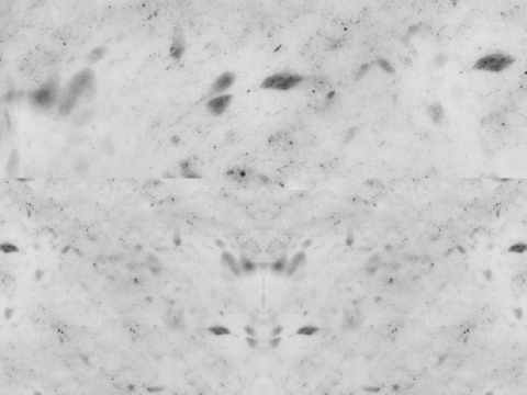Pizza Pepperoni 001 3D Модель