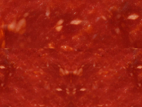 Pizza Pepperoni 001 3D Model