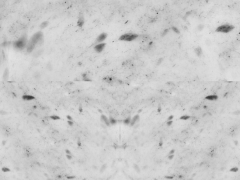 Pizza Pepperoni 001 3D Модель