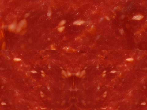 Pizza Pepperoni 001 3D Model