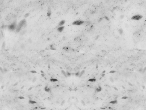 Pizza Pepperoni 001 3D Модель