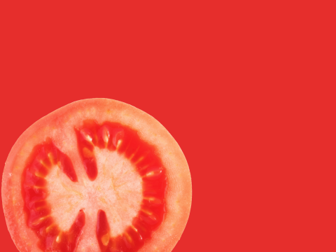 Salad 002 3D Model