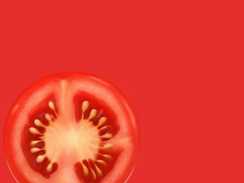 Salad 002 3D Model