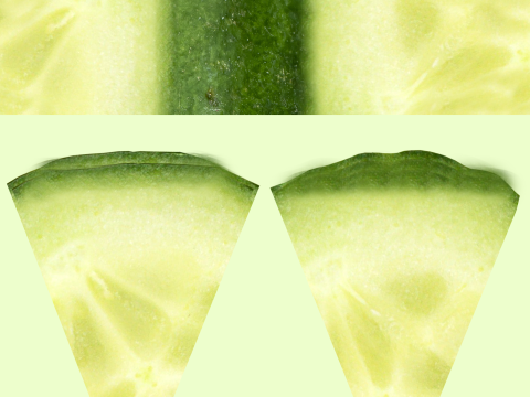 Salad 002 3D Model