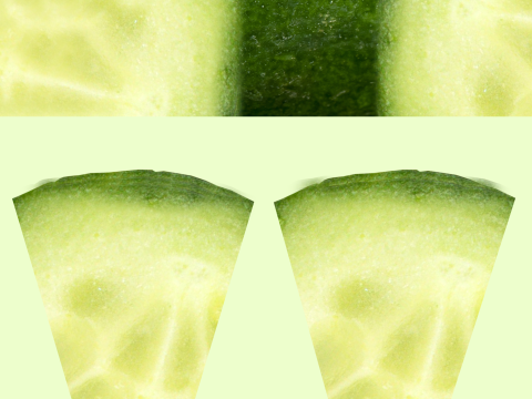 Salad 002 3D Model