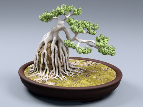 बोनसाई नेगारी 001 3D मॉडल