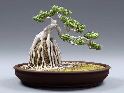 Bonsai Neagari 001 3D Model