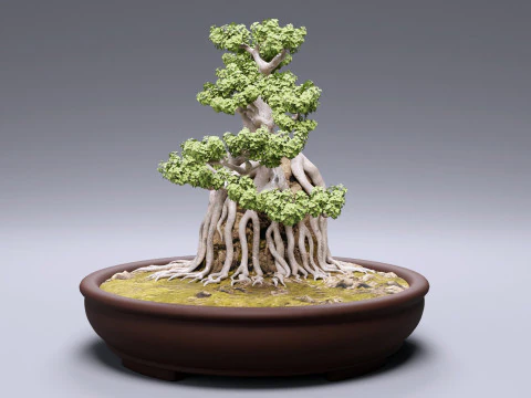 Bonsai Neagari 001 3D Model