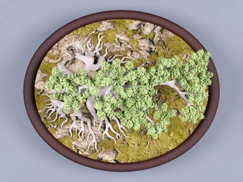 Bonsai Neagari 001 3D Model