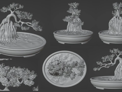 Bonsai Neagari 001 3D Model