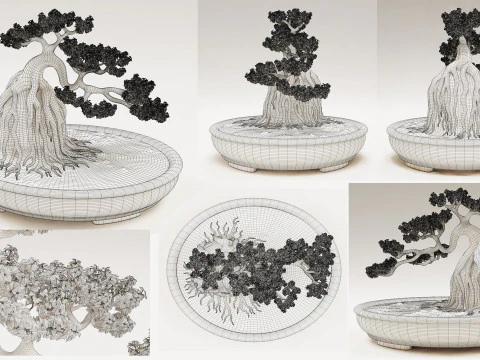 Bonsai Neagari 001 3D Model