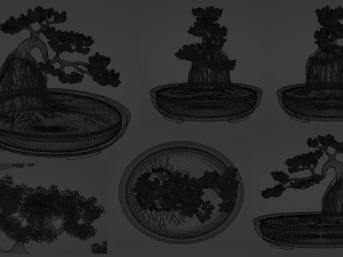 Bonsai Neagari 001 3D Model
