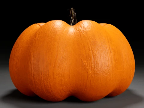 Jack O Lantern 006 3D Model