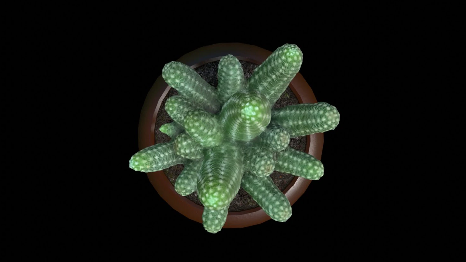 Cactus 3D Model .c4d .max .obj .3ds .fbx .stl .blend 