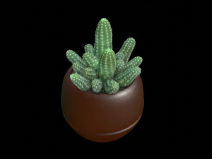 Cactus 3D Model