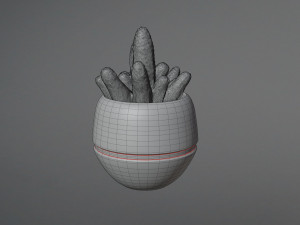 Cactus 3Dモデル