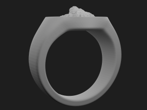 Ring with a lion 3Dプリントモデル