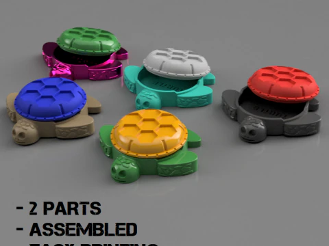 COFANETTO PER GIOCATTOLI DELLA TARTARUGA MAGICA PER BAMBINI Modello di stampa 3D Modello di stampa 3D