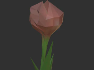 Tulipa baixa poligonal Modelo 3D
