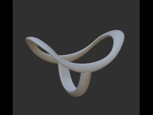 Ring splints 3D Print Model