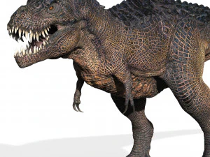 Trex Tyrannosaurus Dinosaur 3D Model