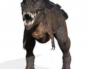 Trex Tyrannosaurus Dinosaur 3D Model