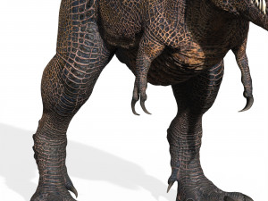 Trex Tyrannosaurus Dinosaur 3D 模型