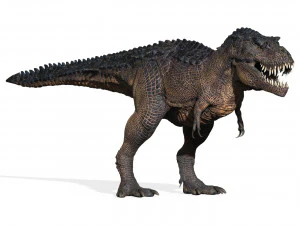 Trex Tyrannosaurus Dinosaur 3D Model