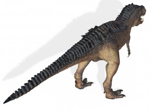Trex Tyrannosaurus Dinosaur 3D 模型