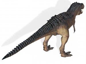 Trex Tyrannosaurus Dinosaur 3D Model