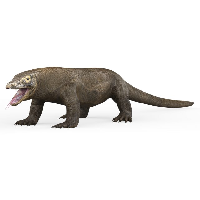 Komodo Dragon Lizard 3Dモデル .c4d .max .obj .3ds .fbx .stl .blend