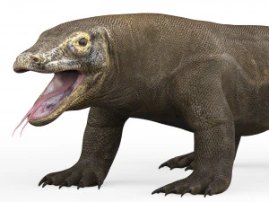 Kadal Komodo Model 3D