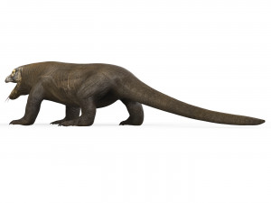 Komodo Dragon Lizard 3Dモデル