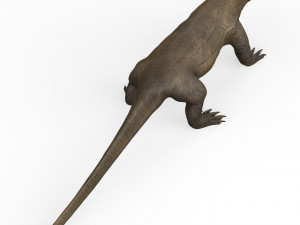 Komodo Dragon Lizard 3Dモデル