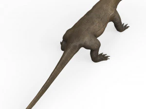 Kadal Komodo Model 3D