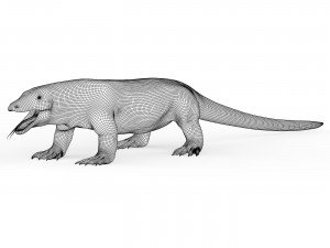 Komodo Dragon Lizard 3Dモデル