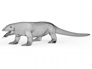 Kadal Komodo Model 3D