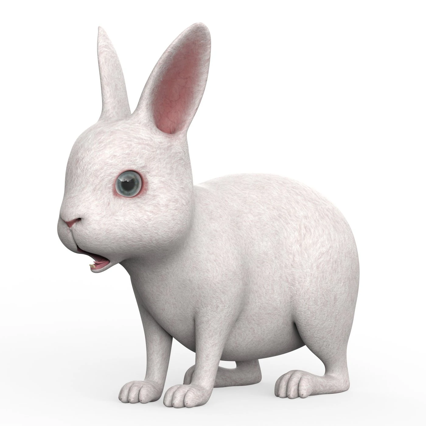 Rabbit 3D Model .c4d .max .obj .3ds .fbx .stl .blend