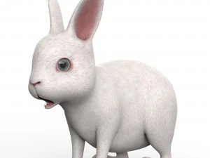 Conejo Modelo 3D