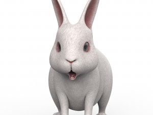 Rabbit 3D Model