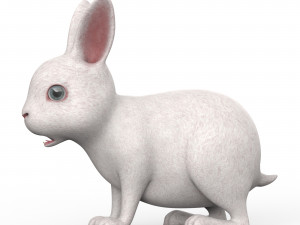 Rabbit 3D Model